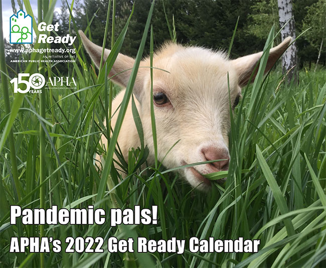 Pandemic Pals! APHA's 2022 Get Ready Calendar goat in tall grass