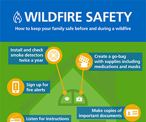 WILDFIRE SAFETY